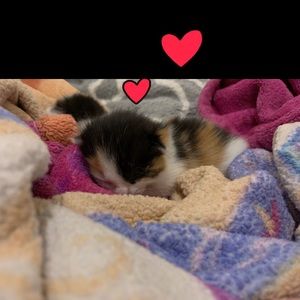 Meet your Posher, Celia